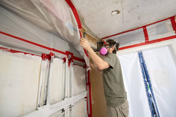 Mold Removal for HVAC Installations in Geneva, WA